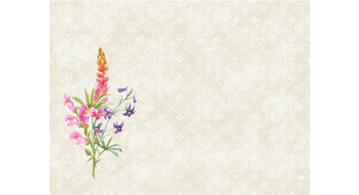 Duni Dunicel®, placemat, 30x40 cm, Floret, 195835 (500 stuks)