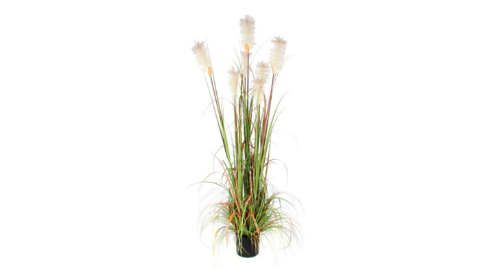 Pluimgras Foxtail, zijden plant, 180 cm, VB 651321