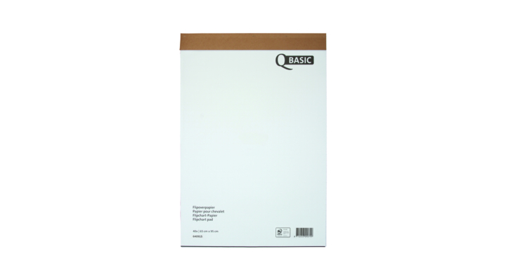 Flipoverpap budget 65x98cm blanco/ruit 80gr(400138755)