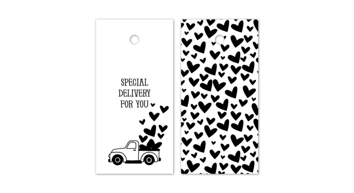 Cadeau label, special delivery, 80x40mm (100 stuks)