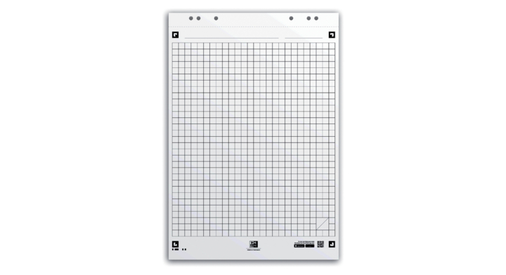 Flipoverpap oxford smart 65x98cm ruit 90gr 20v(400096278)