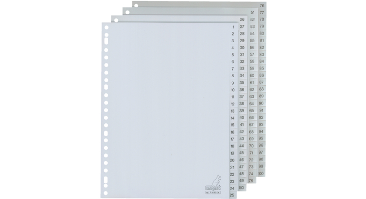 Tabblad kangaro g4100cm a4 23r pp 100dlg 1-100 gr(g4100cm)