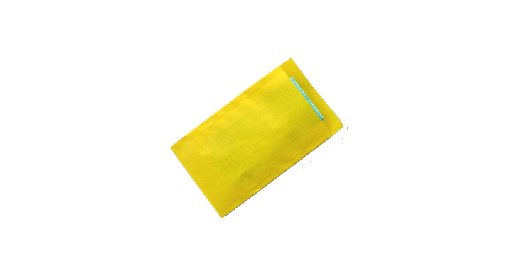 Zakje 12x19cm 1704 Yellow Ds/250