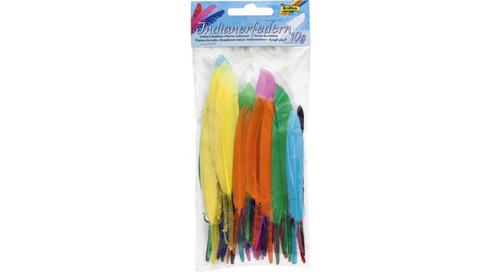Indianen veren folia assorti(55119)