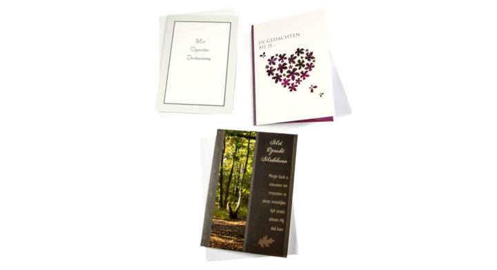 Paperclip, navulset wenskaarten, deelneming (12 stuks)