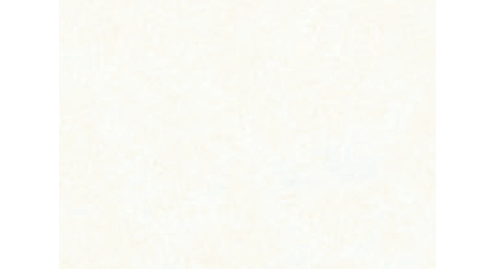 Zijdevloeipapier folia 50x70cm 20g nr 00 wit(91000)