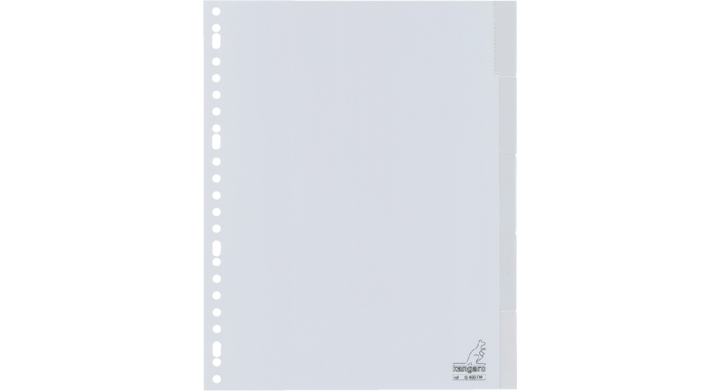 Tabblad kangaro g405fm a4 23r pp 5dlg v-tabs(g405fm)