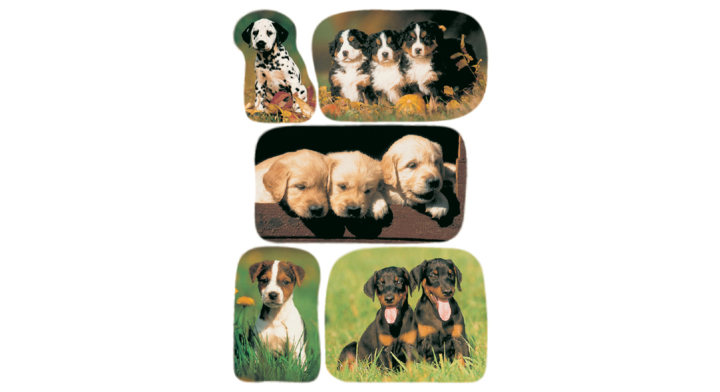 Etiket herma 3528 hond