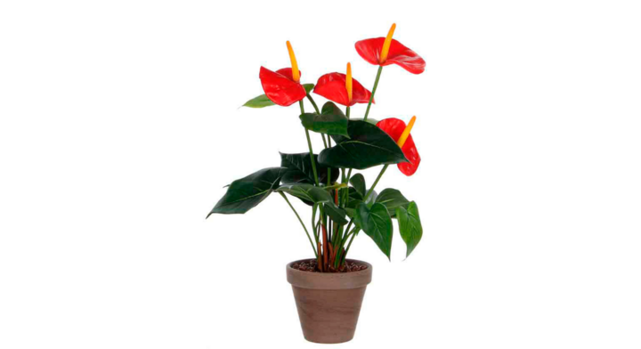Anthurium, zijden plant, 40 cm, VB 478887