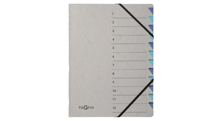 Sorteermap pagna easy 12tab a4 pp grijs/blauw(p4431202)