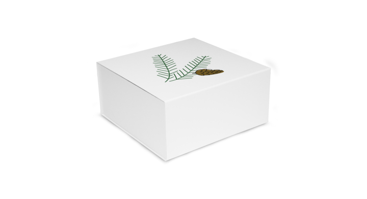 Luxe kerstmagneetdoos , Pine, 35x25x10cm, wit (25 stuks)