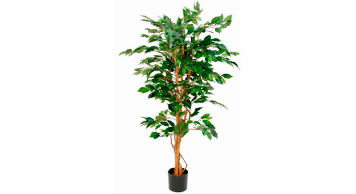 Ficus Benjamina, zijden plant, 150 cm, VB 080152