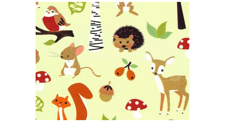 Cadeaupapier, 50cm x 200m, Autumn Fest