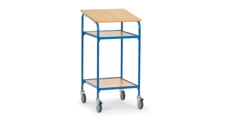 Verrijdbare kast, 500x600mm Draagverm. 100kg