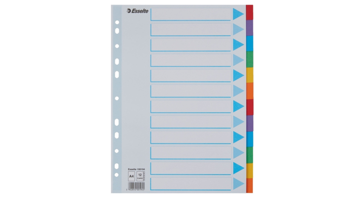 Tabbladen esselte a4 11r karton 12dlg(100194)