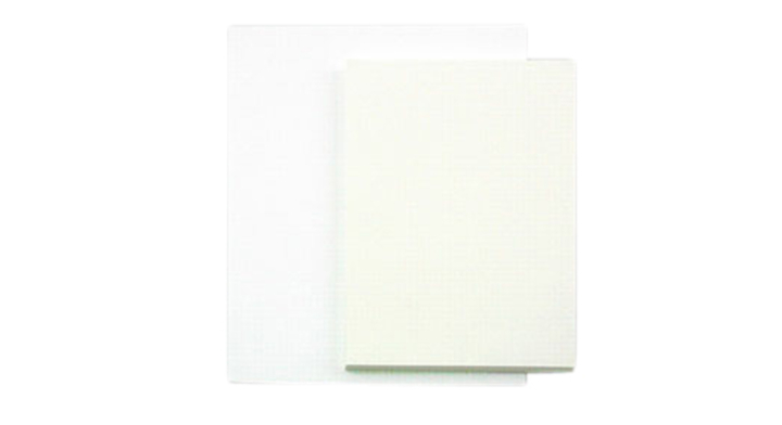Tekenpapier Papyrus | 65x100cm | 160gr | 125 vel (88102634)