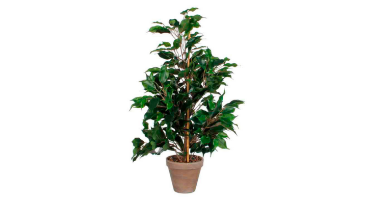 Ficus Exotica, zijden plant, 65 cm, VB 800633
