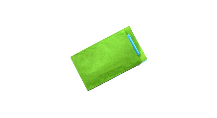 Zakje 17x25cm 1727 Apple Ds/250