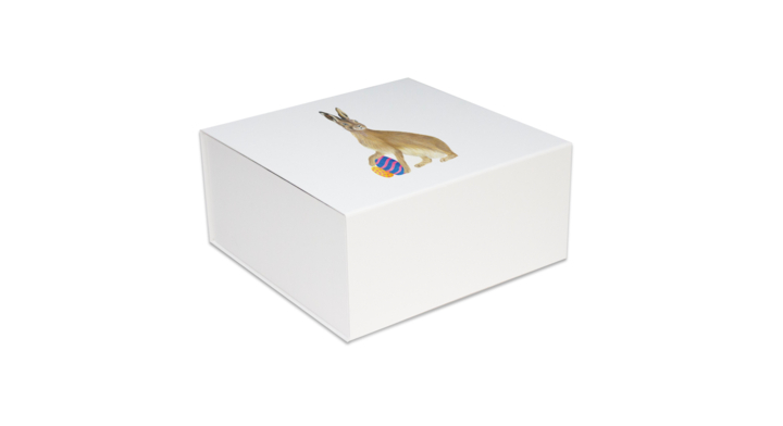 Luxe pasen magneetdozen, haas (42,5x33,3x9,7cm), wit, (25st)