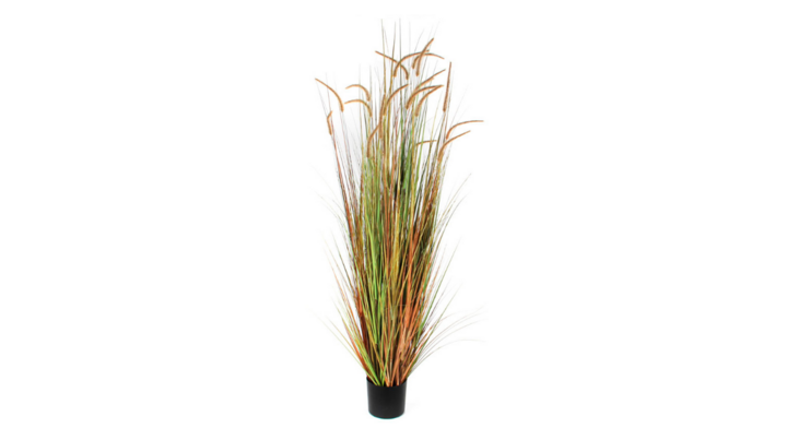 Pluimgras Dogtail, zijden plant, 180 cm, VB 653790