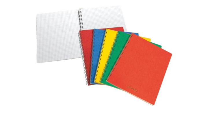 Spiraalcarnet 80x135mm ruit 5x5mm 100blz(1450gq5)