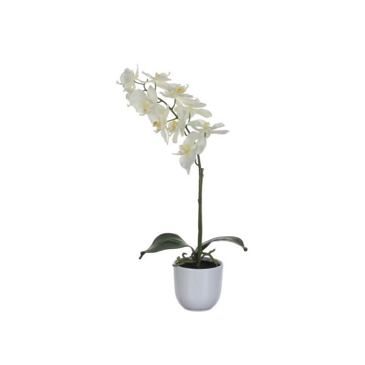 Phalaenopsis Orchidee, zijden plant, 60 cm, VB 346963 - 0