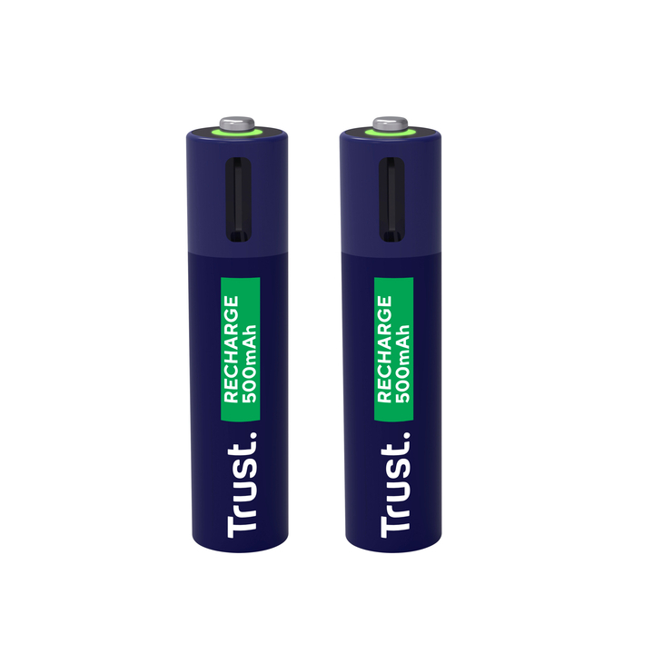 Batterij trust usb-c oplaadbaar aaa 2 stuks(8713439255850) - 0