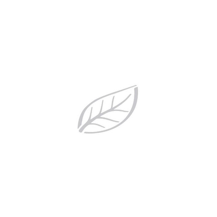 Tork Matic Advanced | Handdoekrol | 150 Meter | 2-Laags | H1 | Groen | 290076 (6 stuks) - 2