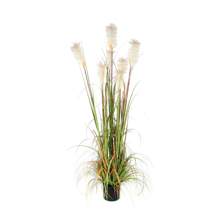 Pluimgras Foxtail, zijden plant, 180 cm, VB 651321 - 0