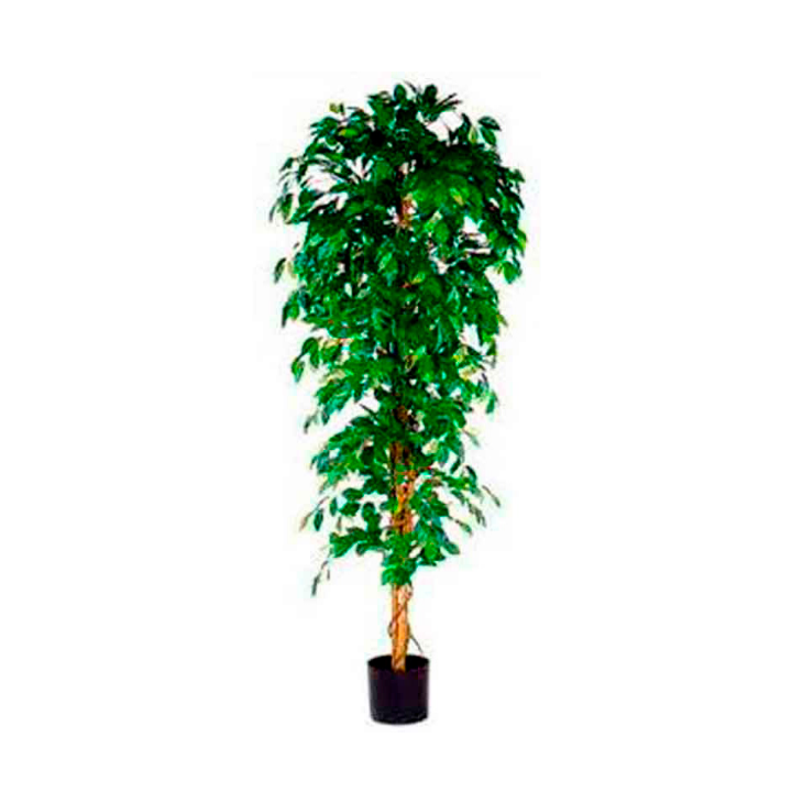 Ficus Benjamina, zijden plant, 210 cm, VB 080212 - 0