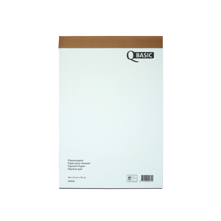 Flipoverpap budget 65x98cm blanco/ruit 80gr(400138755) - 0