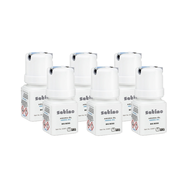 Satino | Luchtverfrisser Spray | 50ml | Big Boss | AR2 | 332810 (6 stuks) - 1