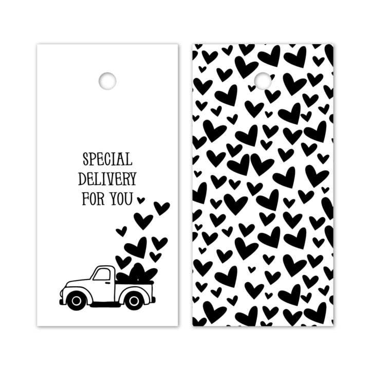 Cadeau label, special delivery, 80x40mm (100 stuks) - 0