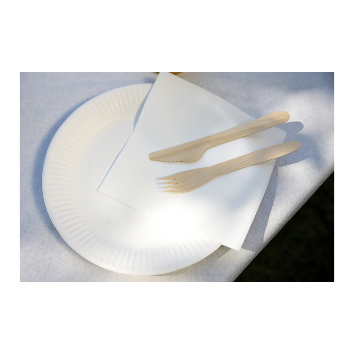 Bord iezzy d 180mm karton wit(pa87238) - 3