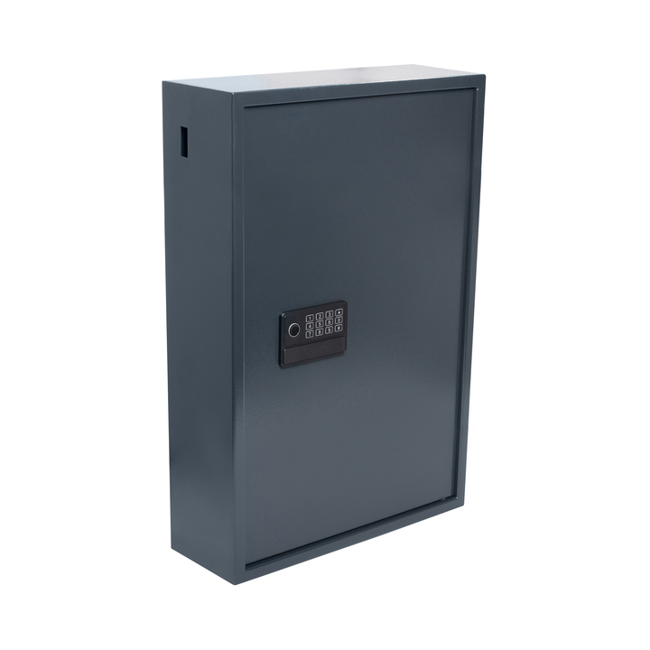 Sleutelkast pavo high security advanced 300 haken(8025176) - 1