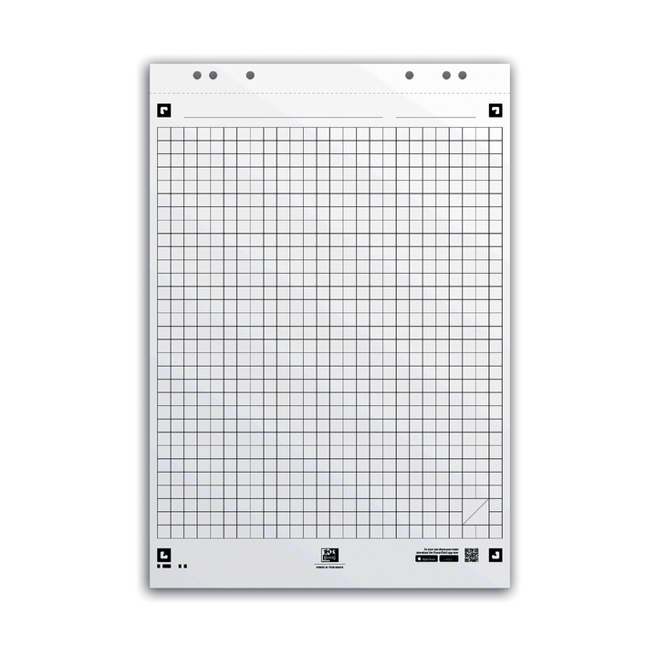 Flipoverpap oxford smart 65x98cm ruit 90gr 20v(400096278) - 0