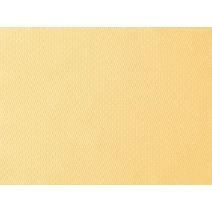 Duni, papieren placemat, 30x40cm, Cream, 160189 (1000 stuks) | OP=OP AANBIEDING - 0