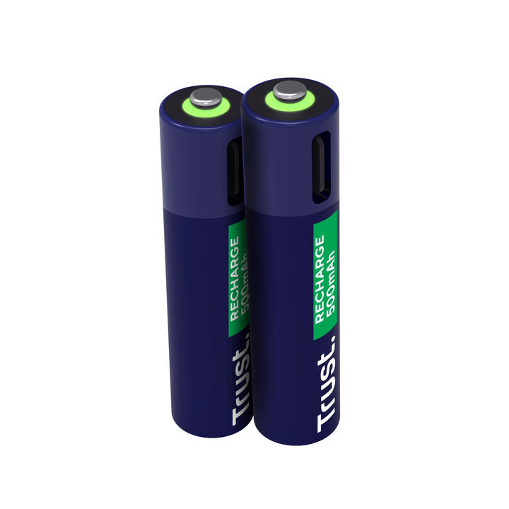 Batterij trust usb-c oplaadbaar aaa 2 stuks(8713439255850) - 2