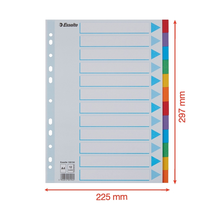 Tabbladen esselte a4 11r karton 12dlg(100194) - 1