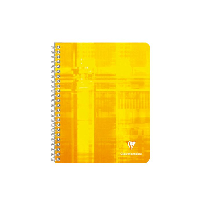 Schrift matris a4 spiraal lijn 100blz - 3