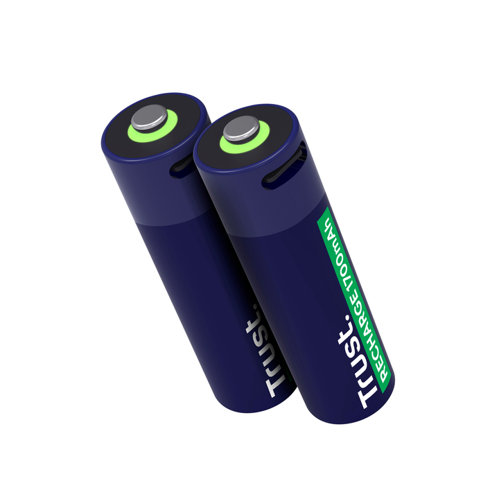 Batterij trust usb-c oplaadbaar aa 2 stuks(8713439255843) - 2