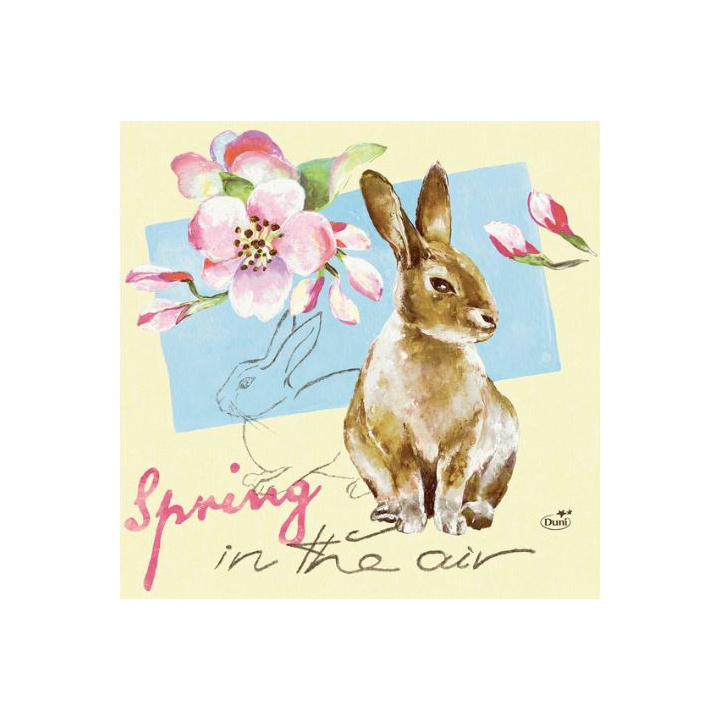 Duni Tissue, 33x33 cm, 3-laags, Spring In The Air, 177966 (1000 stuks) | OP=OP AANBIEDING - 0