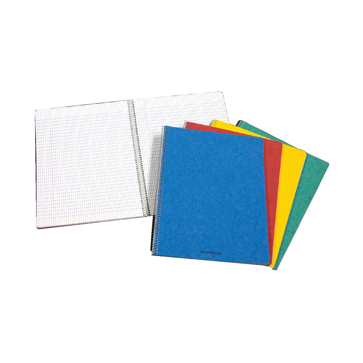 Schrift spiraal 210x165mm 120bl ruit 5mm(2160kq5) - 0