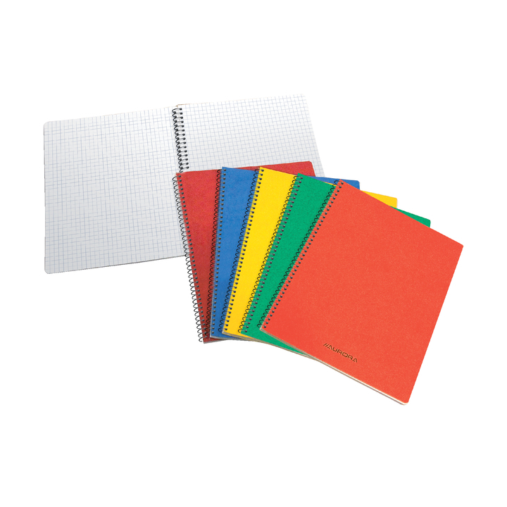 Spiraalcarnet 80x135mm ruit 5x5mm 100blz(1450gq5) - 0