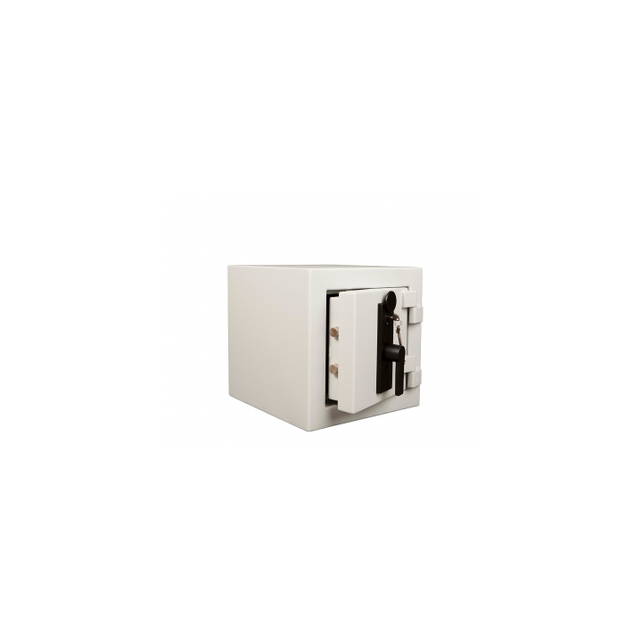 Neutron Star Grade 0/1 Ral 7035 met dubbelbaardsleutelslot - 0