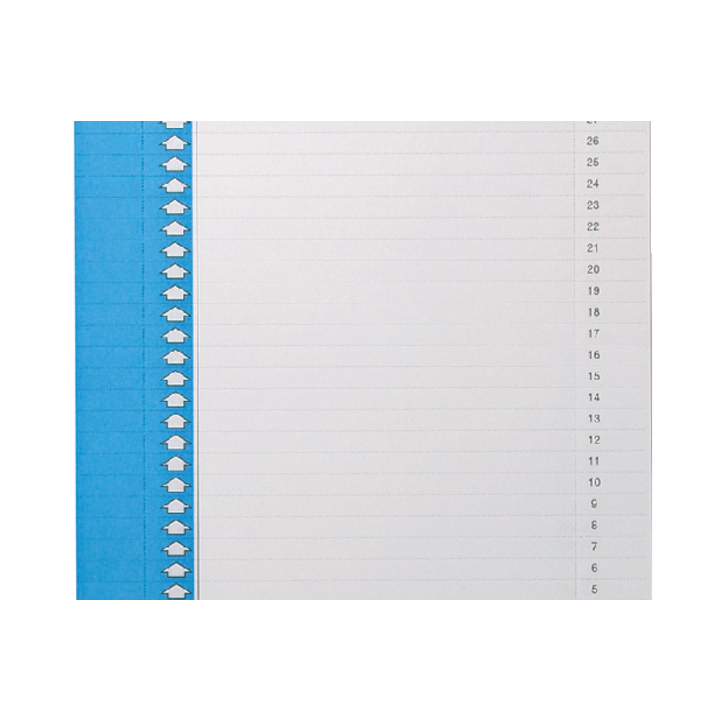 Ruiterstrook oblique nr 0 vertikaal blauw - 0