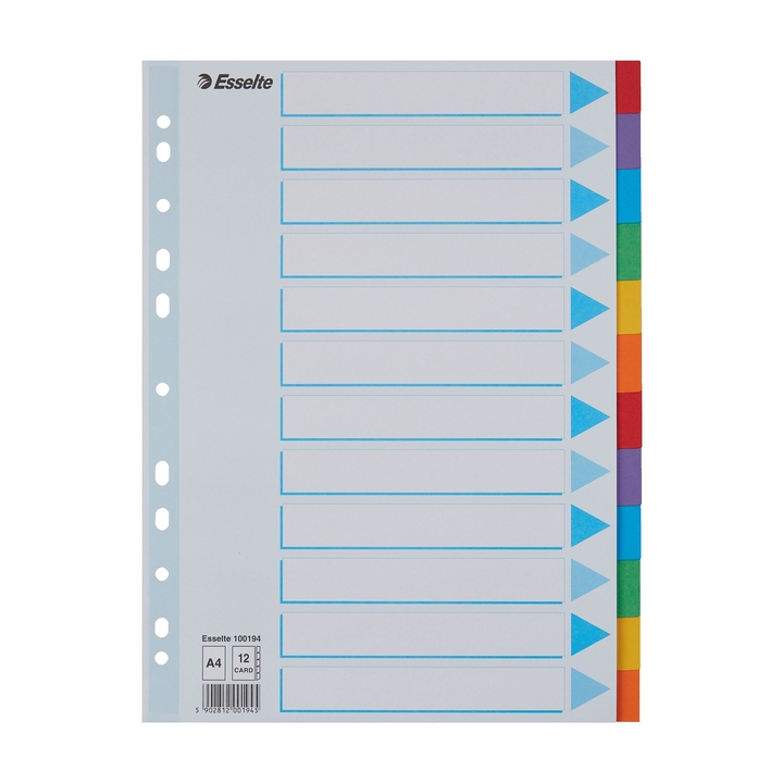 Tabbladen esselte a4 11r karton 12dlg(100194) - 0