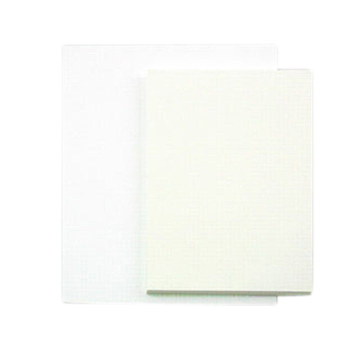 Tekenpapier Papyrus | 65x100cm | 160gr | 125 vel (88102634) - 0