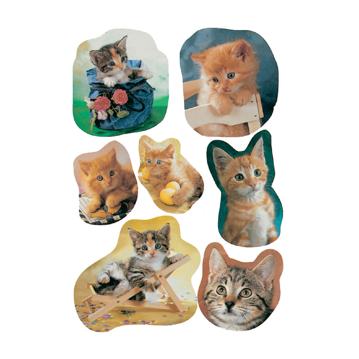 Etiket herma 5747 kat - 0