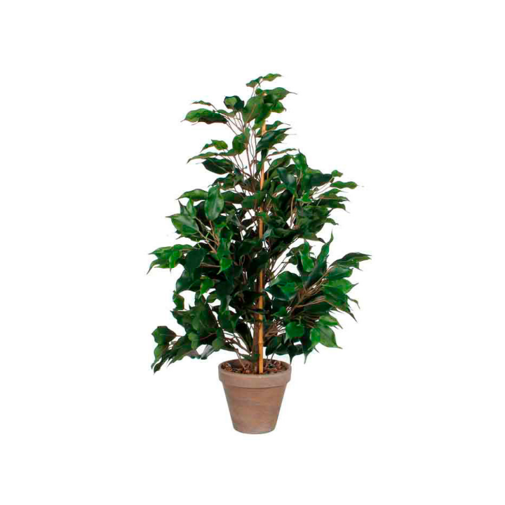 Ficus Exotica, zijden plant, 65 cm, VB 800633 - 0